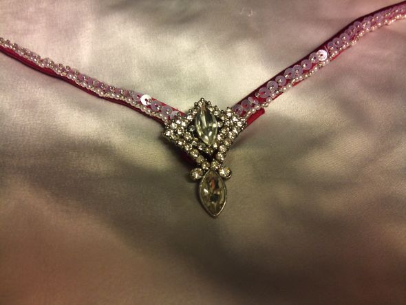 Need sash advice/suggestions!! (PIC HEAVY) :  wedding sash pop of color dress train drama Brooch