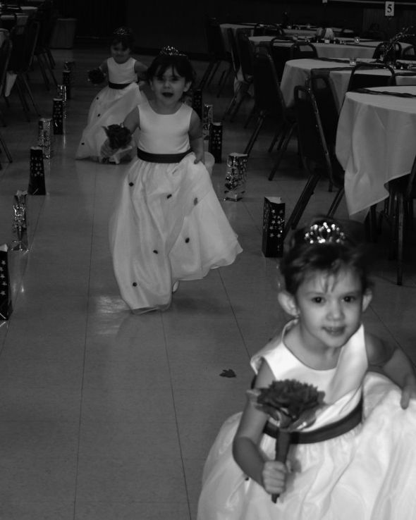 Luminary Bags for Reception :  wedding Luminary Bags