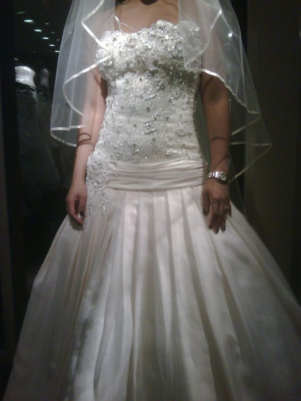 show off your bridal dress in color egg shell or champagne :  wedding Dress