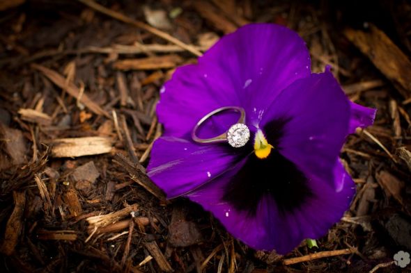 Ohhh Halo Ring Ladies!!! Show me yours! :) : wedding ring halo Ring