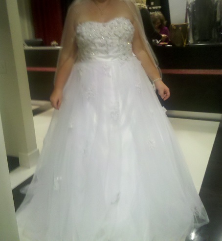 March Brides Dresses! Show it off :) :  wedding dress march wedding Cropped Dress 1