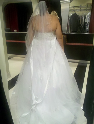 March Brides Dresses! Show it off :) :  wedding dress march wedding Cropped Dress 2
