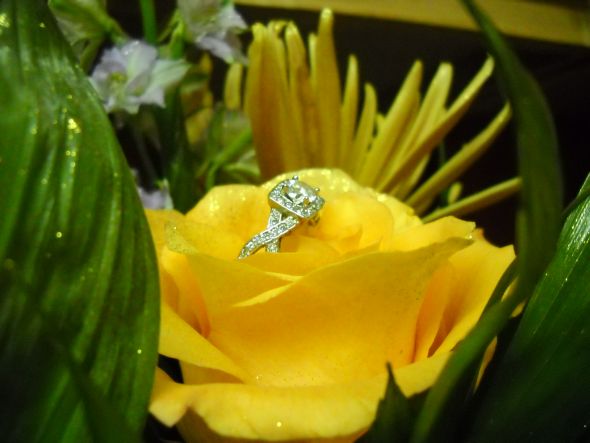 What style is your engagement ring? :  wedding rings engagement ring styles solitaire halo three stone 1 215 ct round center diamond 6 prong platinum setting eternity band DSCN1148
