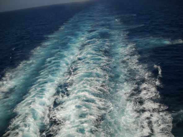 Carnival Cruise Cozumel Cruise Honeymoon -RECAP - pic heavy!! :  wedding carnival cruise honeymoon recap cozumel DSCN1761