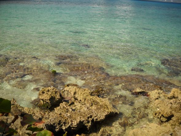 Carnival Cruise Cozumel Cruise Honeymoon -RECAP - pic heavy!! :  wedding carnival cruise honeymoon recap cozumel DSCN1837
