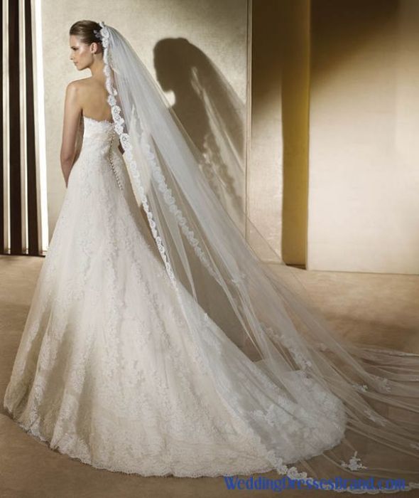 Plus Size Size 24 Pronovias Ivory Lace Wedding Dress and Lace Veil For