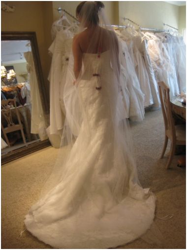 PRONOVIAS / SAN PATRICK brides! let me see you dresses! :  wedding dress pronovias st patrick 1 Capture3