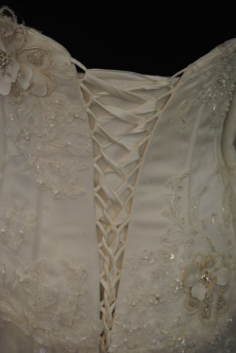 back close up