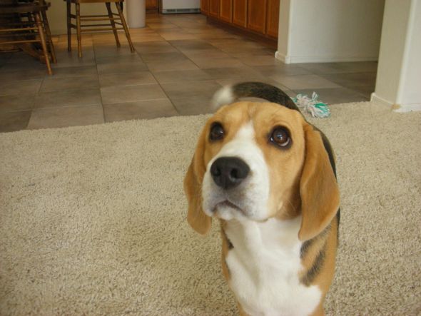 Totally NWR, but something that I think needs to be shared! :  wedding Roxy Girl