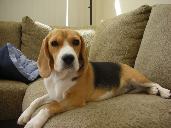 Totally NWR, but something that I think needs to be shared! :  wedding Roxy Girl 3