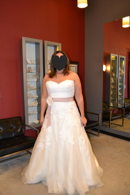What would you do? (kinda long and pic heavy) :  wedding dress choose wedding help gown Gown 2