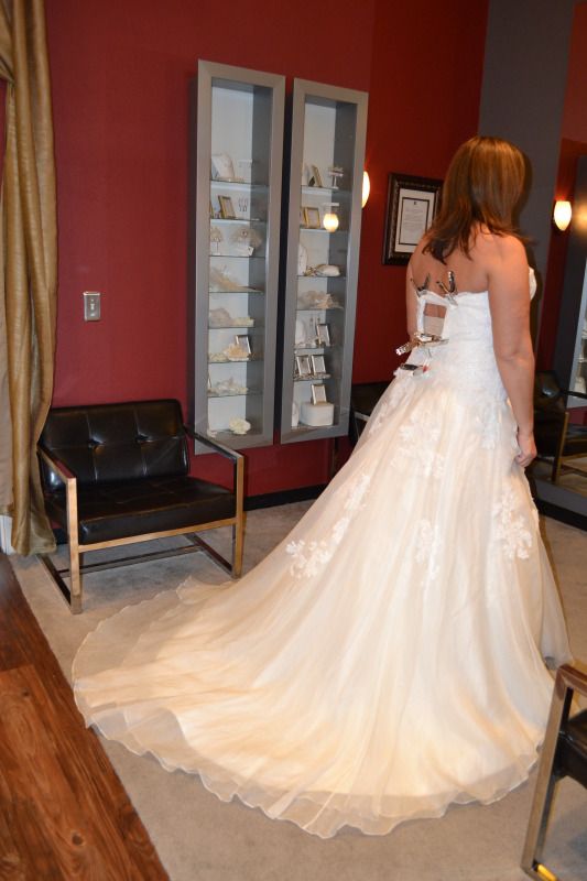 What would you do? (kinda long and pic heavy) :  wedding dress choose wedding help gown Gown 4