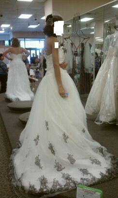 Hairstyle for this dress and a birdcage veil and flower- Help :  wedding veil hair dress birdcage Editedweddingpic