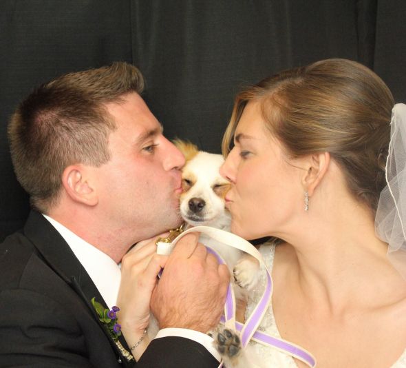 Incorporating Dog Into Wedding Day Photos wedding dog wedding photos IMG