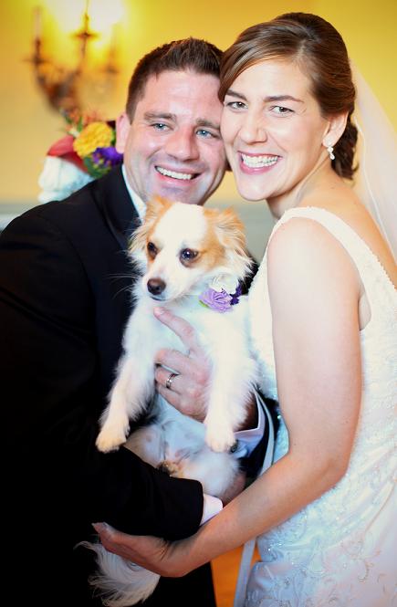 Incorporating Dog Into Wedding Day Photos wedding dog wedding photos Greg 