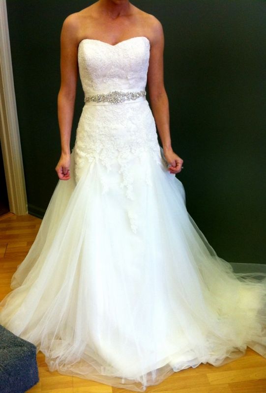 Dress came in! And... I'm not sure how I feel about it :-/ (pictures included) :  wedding detalle Photos 2