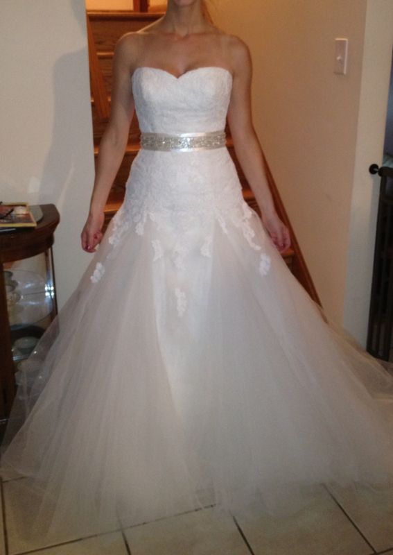 Dress came in! And... I'm not sure how I feel about it :-/ (pictures included) :  wedding detalle The Dress