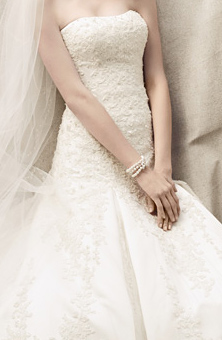 Show us your dress! : wedding may 2012 1 dresses dress the one Cwg394 Davids Bridal Wedding Dress Primary