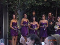 Purple or Gray ??? : wedding purple gray wedding bridesmaid dress Purple Dress