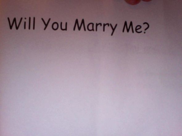 On a Griffith Park Hike, overlooking LA....I said YES! :  wedding hiking halo proposal griffith park los angeles Photo 513
