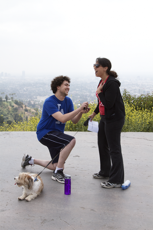 On a Griffith Park Hike, overlooking LA....I said YES! :  wedding hiking halo proposal griffith park los angeles Proposal 4