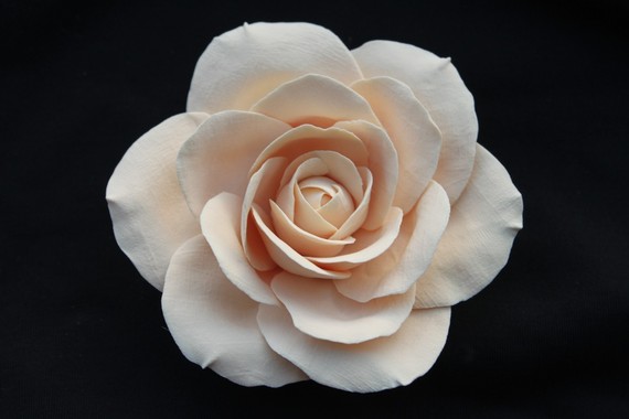 What will You wear in Your Hair? Tiara, flower, none, etc. :  wedding hair accessories Hairflower