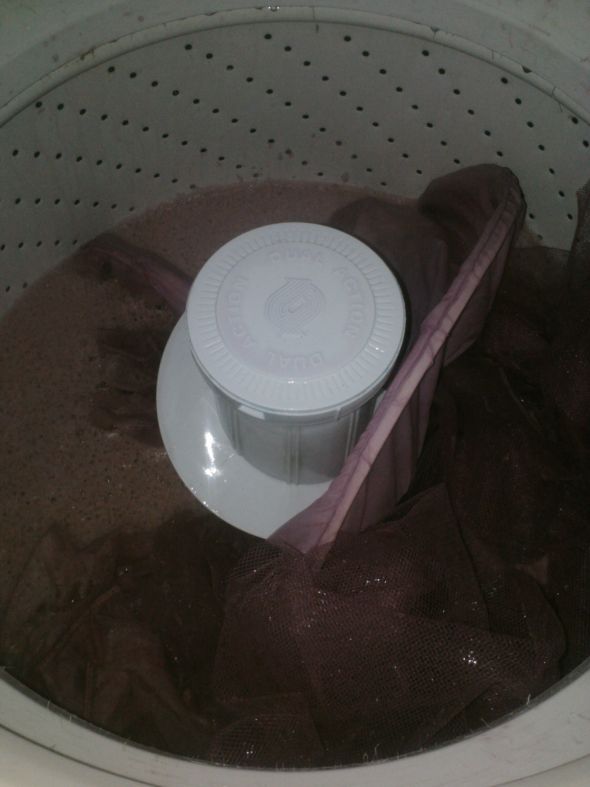 New Look for Crinoline