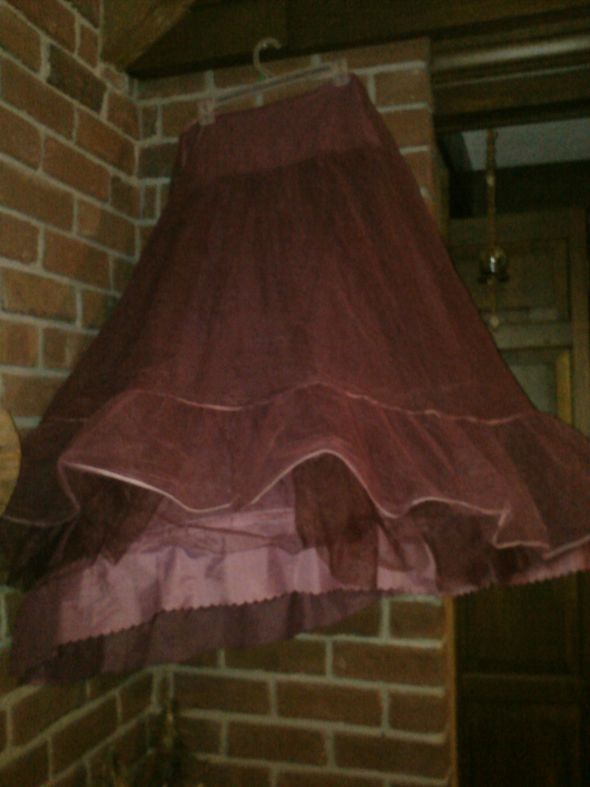 HELP!!!!!!!Purple Wedding Crinoline needed! :  wedding wedding crinoline purple wedding dress help petticoat IMG095