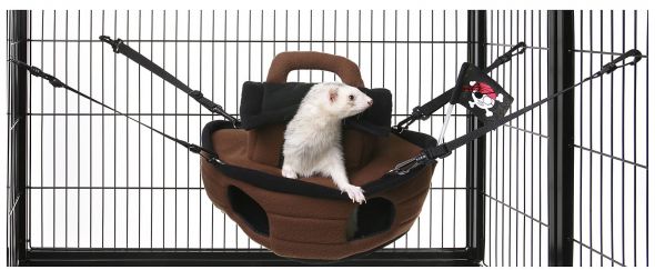 Do you gift your pets? :  wedding Ssweasel