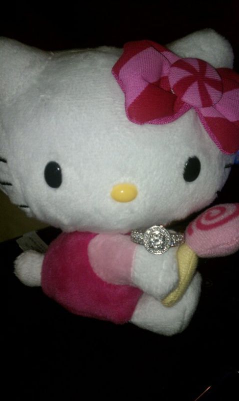 Show me your pictures of your pets with your rings? :  wedding pets ring photos HKwithring