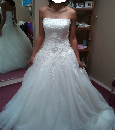 Help with dress Plz!!!! :  wedding maggie justin alexander dress help Justinalexdress