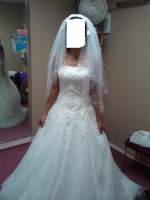 Help with dress Plz!!!! :  wedding maggie justin alexander dress help Justinalexveil