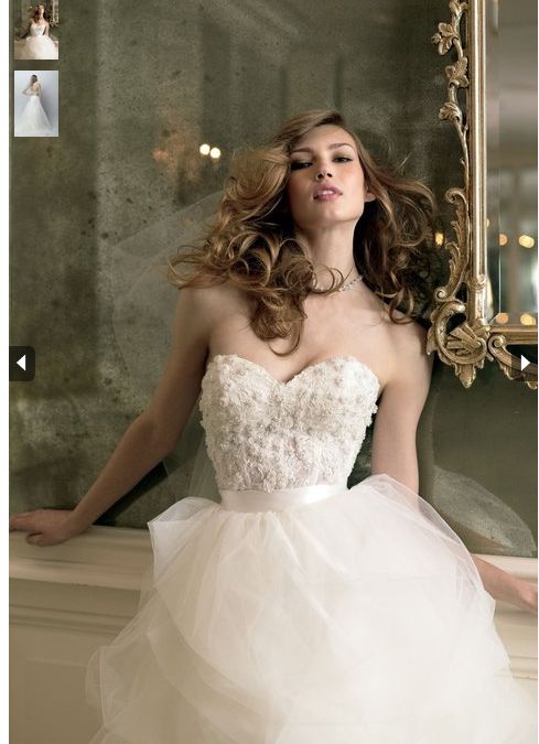 Help me find a gown that makes you think enchanted princess!! :  wedding dress dresses wedding dress gown enchanted princess princess dress Boardsh