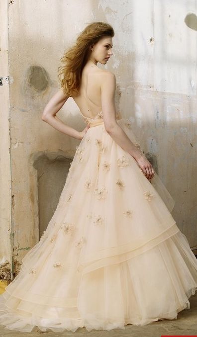Help me find a gown that makes you think enchanted princess!! :  wedding dress dresses wedding dress gown enchanted princess princess dress Boardsh2