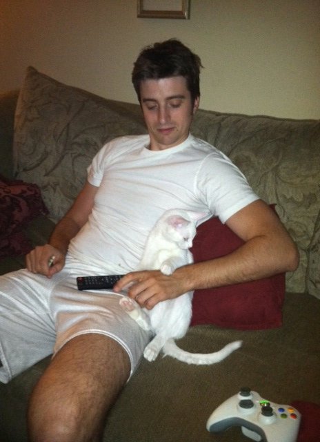 Cute pics of my kitties guaranteed to make you smile :). Post your pics too! :  wedding kitten cute Remyanddaddy