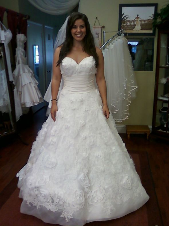 Here's my journey of dresses! Share yours! (Pic heavy) : wedding dress journey pic pics heavy plus size 1 weight loss curvy full figured 1 Weddinggown1