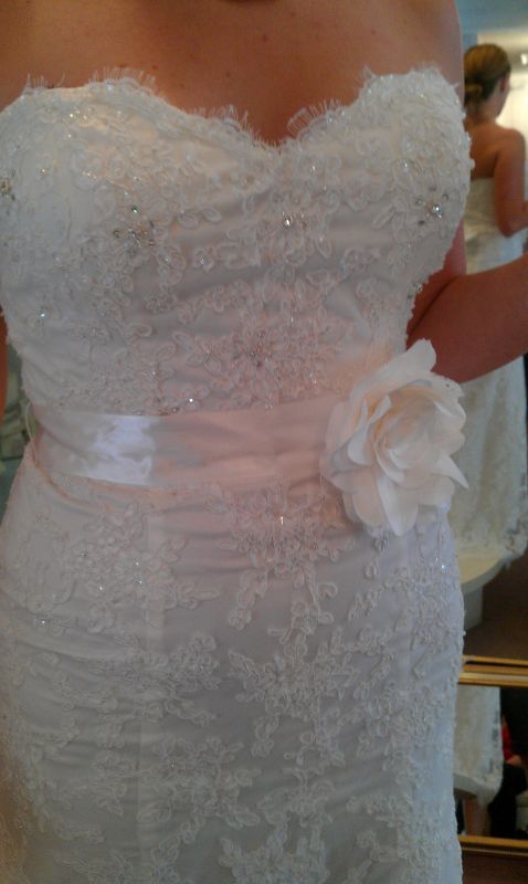 Soooo.... another dress :  wedding dress jim hjelm monique lhuillier lace tea length 1 angst indecision IMAG0950