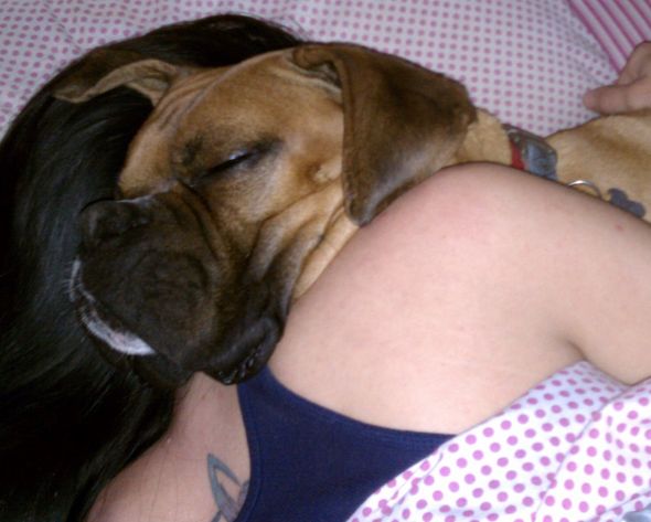 Cute overload!!  Post your sleepy puppy/kitten pics! :  wedding IMAG1728
