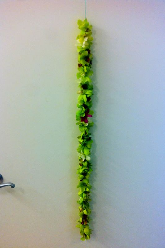 I was quoted around 50000 for an orchid garland to go on my bamboo arch