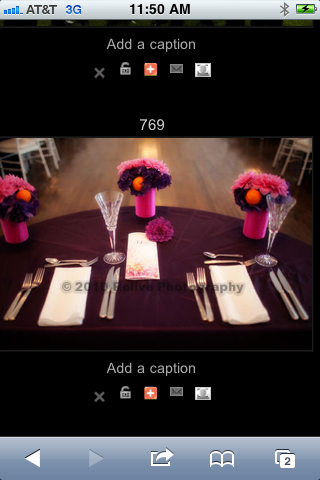 Post Wedding Sale Deep Purple Tablecloths and more wedding table 