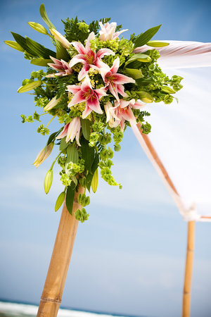 Anyone having or had a beach wedding around Gulf Shores Alabama?? : wedding beach wedding seashells water sand 4bfee1fe71427c8d62affc092cd4c0b7 M