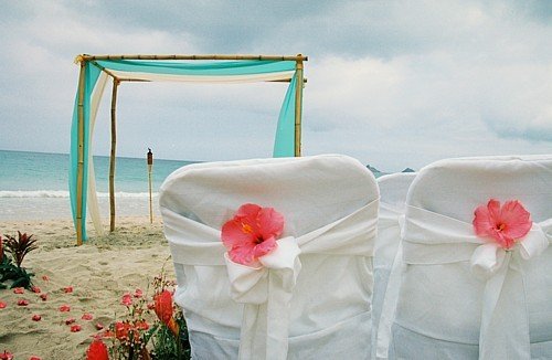Anyone having or had a beach wedding around Gulf Shores Alabama?? : wedding beach wedding seashells water sand 5716470b7227501bcd3b849ed5ac99c7 M