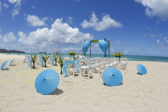 Anyone having or had a beach wedding around Gulf Shores Alabama?? :  wedding beach wedding seashells water sand Reception Flowers 796 11 M