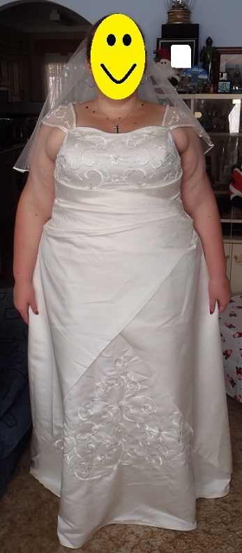 calling all eBay wedding dresses! :  wedding ebay dress P1030091