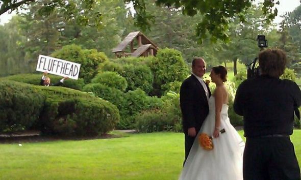 Going to a Concert While Pregnant? :  wedding Fluffhead