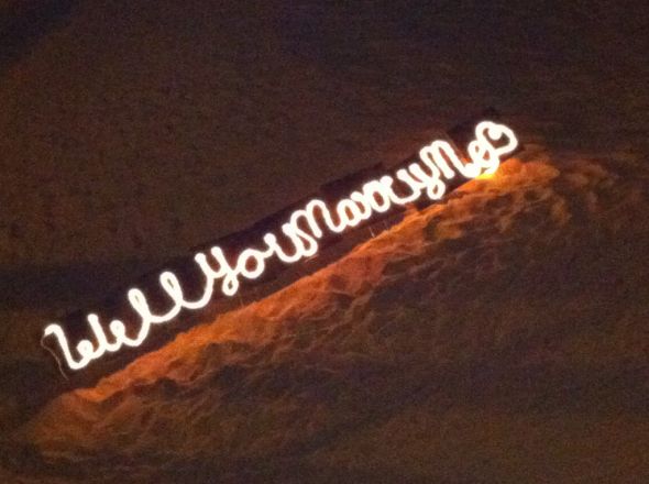 Poll: Was your proposal a dream come true or a disappointment? :  wedding proposal Lights