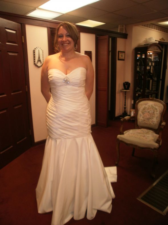 March Brides Dresses! Show it off :) :  wedding dress march wedding PA030905