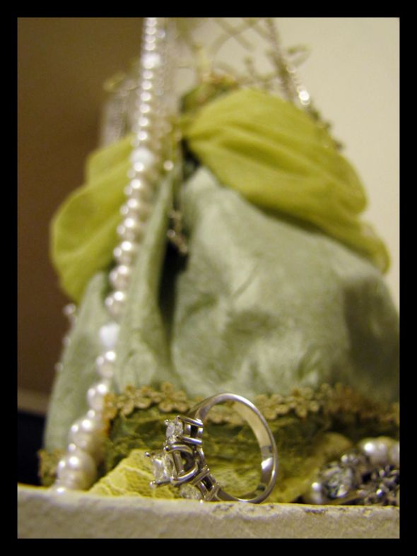 Fun!! Ring scavenger hunt! (pic heavy) Join in! :  wedding fun rings scavenger hunt photography IMG 3564