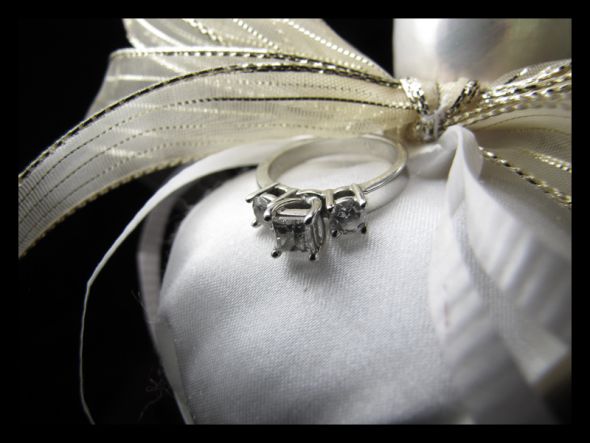 Fun!! Ring scavenger hunt! (pic heavy) Join in! :  wedding fun rings scavenger hunt photography IMG 3566