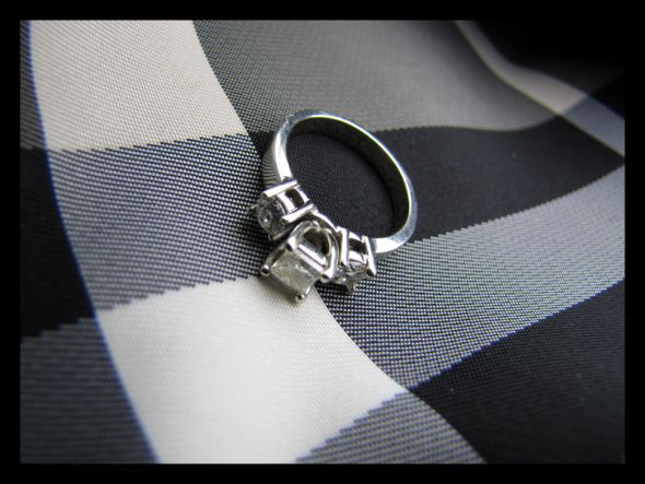 Fun!! Ring scavenger hunt! (pic heavy) Join in! :  wedding fun rings scavenger hunt photography IMG 3572